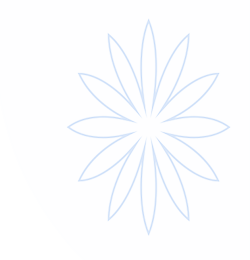 星亿娱乐·官网入口